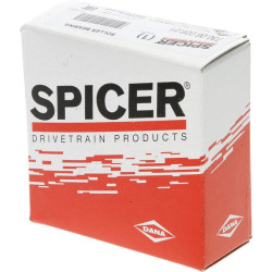 Ritininis guolis 7300602601