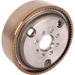 Žiedinės pavaros atrama 1110670502