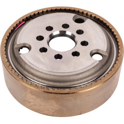 Žiedinės pavaros atrama 1110670502