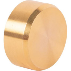 Limiterio kaištis 4474351190