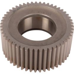 Palydovas 2093309018