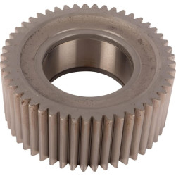 Palydovas 2093309018