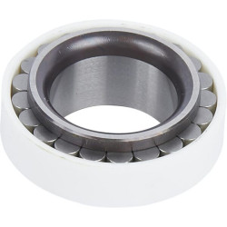 Adatinis ritininis guolis 0735410855