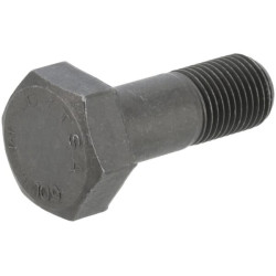 Šešiakampis varžtas 0736020084