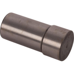 Palydovinis kaištis 4998021N