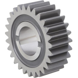 Palydovas 02554644020N