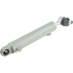 Vairo stiprintuvo cilindras 5189896N