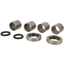 Karaliaus kaiščio remonto komplektas VPJ2005