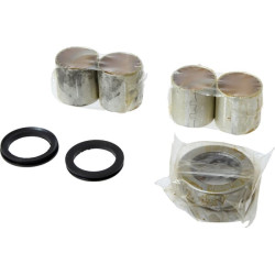 Karaliaus kaiščio remonto komplektas VPJ2006