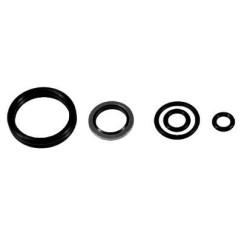 Vairo vožtuvo sandariklių komplektas VPJ4010