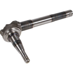 Ašies ašies dešinė NH 83928072N