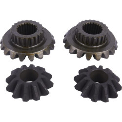 Palydovinis-planetinis rinkinys CI134288