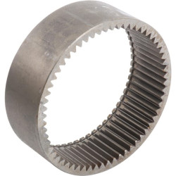 Epikloidinis vainikas CI149776