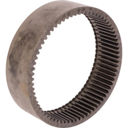 Epikloidinis vainikas CI334034