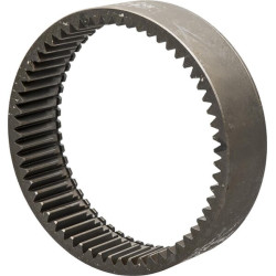 Epikloidinis vainikas CI125452