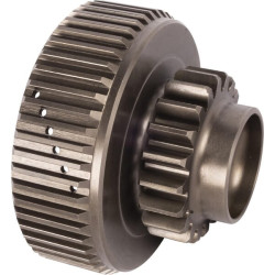 Sankabos pavaros įvorė 87295813