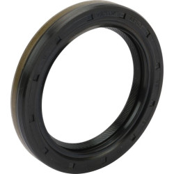 Sandariklis B1BAFSLSFDRRX3 55x75x10 70ACM 04175434N