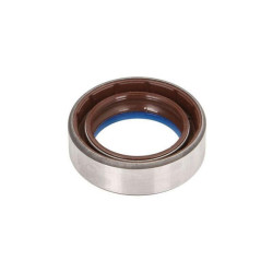 Sandariklis COMBI SF6VI 35x52x16 FKM RE204829N