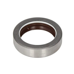 Sandariklis COMBI SF6 48x65x16.5 FKM 85821287N