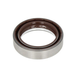 Sandariklis COMBI SF6 48x65x16.5 FKM 85821287N