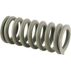 Pasukamos ašies spyruoklė, skirta C2204 C-4011 26900050436080