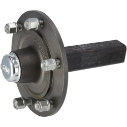 Nestabdoma ašis 50x200 mm (160/205/6) A506002