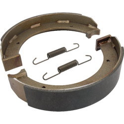 Stabdžių trinkelė 300x60C su spyruokle 540605120