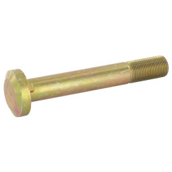 Rato ratlankio varžtas Korpusas - IH 3225631R2