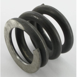 Inercinio stabdžio spyruoklė 1030977345