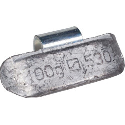 Balansuojamasis svoris 100g HO530100