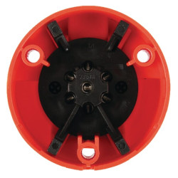 Lizdas 7 - polių, Erich Jaeger 101120JAE