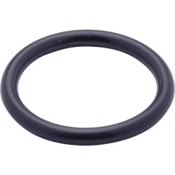 Case - IH CVX1145 9827059N O žiedas