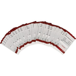 Seminaro lipdukas ENG (100x) WP005510