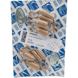 Stabdžių spyruoklių komplektas 9RK0016