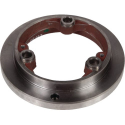 Stabdžių stūmoklis 00176819010