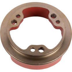 Stūmoklis, stabdys CI141259