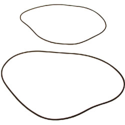 Stabdžių žiedas (x2) VPJ7355