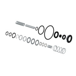 Komplektas: sandariklis + spyruoklė 4674070002