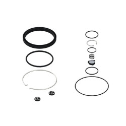 Komplektas: vožtuvas + sandariklis 4620070032