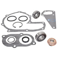 Case - IH CVX1155 162000060751 Vandens siurblio remonto rinkinys CNH