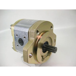 Hidraulinis siurblys AZPF-12-008-L 0510425314