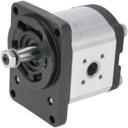 Pavarų siurblys AZPF-11-014RCB20MB 0510525018