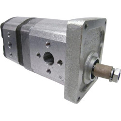 Pavarų siurblys AZPFF-12-019-004-L 0510665437