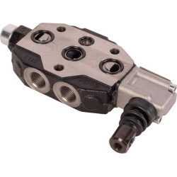 Platintojas 02030485