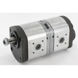 Dvigubas hidraulinis siurblys 89880C91