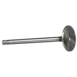 Standartinis išmetimo vožtuvas 4895188