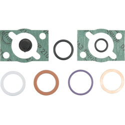 Sandarinimo komplektas stabdžių vožtuvas 1537010247 1537010247