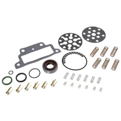 Remonto komplektas hidraulinis siurblys 81821107N