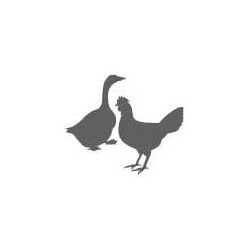 Maitinimo blokas Power Magnum B2 Universal 1660372002