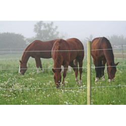 Arklio trosas 8mm 250mtr 44873